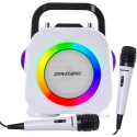 Zestaw KARAOKE Dynasonic DK-201, 2 mikrofony BLUETOOTH USB SD RADIO FM