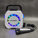 Zestaw KARAOKE Dynasonic DK-201, 2 mikrofony BLUETOOTH USB SD RADIO FM
